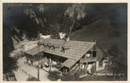 Aflenz/Steiermark - Schwabenbartl I.d. Fölz - Alfenz