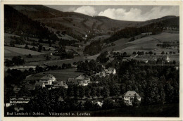 Bad Landeck - Villenviertel - Polen