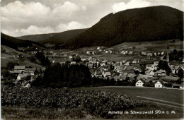 Mitteltal Im Schwarzwald - Baiersbronn