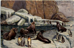 Stellingen - Carl Hagenbecks Tierpark - Walross Pinguin - Stellingen