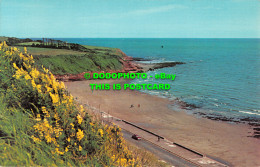 R493076 Exmouth. Devon. Town With Two Miles Of Golden Sands. Litho Canada. N.P.O - World