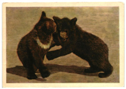 Two Brown Bear Cubs Playing. Unused Postcard. Publisher Pravda, Moscow Russia USSR 1963 - Osos