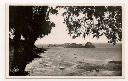 CANCALE. Rocher De Cancale. Fort Des Rimains. - Cancale