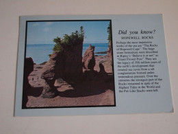 CPA Canada New Brunswick Hopewell Rocks - Otros & Sin Clasificación