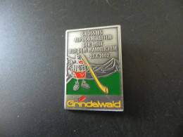 Old Badge Schweiz Suisse Svizzera Switzerland - Alphorntreffen Grindelwald 2002 - Ohne Zuordnung