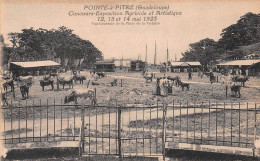 GUADELOUPE - Pointe-à-Pitre - Concours-Exposition Agricole Et Artistique 12-13 Et 14 Mai 1923 - Vue Générale De La Place - Pointe A Pitre