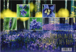 Belgium 2017 COB 4672 / 4676 Jacinthes Des Bois - 2002-… (€)