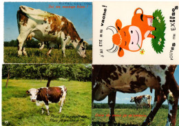 Lot De 4 CP. Vaches. Humour. - Koeien