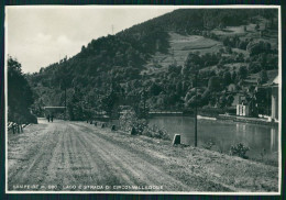 Cuneo Sampeyre Lago Strada Di Circonvallazione Foto FG Cartolina MZ1767 - Cuneo