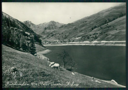 Cuneo Pontechianale Lago Di Pecore Foto FG Cartolina MZ1804 - Cuneo