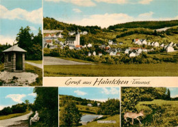 73895374 Haintchen Selters Taunus Schutzhuette Panorama Ruhebank Schwimmbad Reh  - Other & Unclassified