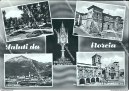 Bn72 Cartolina Saluti Da Norcia Provincia Di Perugia - Perugia