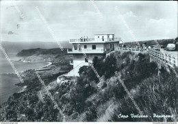 Bn77 Cartolina Capo Vaticano Panorama Provincia Di Catanzaro - Catanzaro