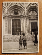 19300.   Fotografia D'epoca Siena 1956 - 10x7 - Lugares