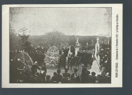 CPA - 88 - Thaon-les-Vosges - Cérémonies Du 11 Novembre 1920 - Le Cortège Au Cimetière - Non Circulée - Thaon Les Vosges