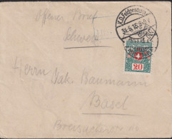 1910/15 Schweiz Kleinbrief 9.5x12.0 Cm, Nachporto 1910, Zum:CH 34, Mi:CH 34, Schweizer Wappen Und Alpenrosen, - Impuesto