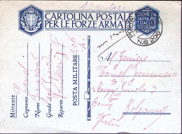 1941-Posta Militare/n.206 C.2 (18.2) Su Cartolina Franchigia - Weltkrieg 1939-45
