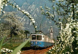 13945456 Le_Centovalli_Cento-Valli_TI Eisenbahn Zug Baumbluete - Autres & Non Classés