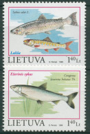 Litauen 1998 Gefährdete Fische: Renke, Atlantischer Lachs 671/72 Postfrisch - Lithuania