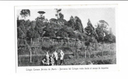 Colegio Carmen Arriola De Marín - Barranca Del Colegio Vista Desde El Campo De Deportes - Argentina   6851 - Schulen