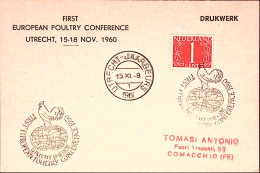 1960-OLANDA 1 Congresso Europeo Pollame/Utrecht (15.11) Annullo Speciale Su Cart - Poststempels/ Marcofilie