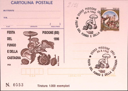 1996-FUNGO E CASTAGNA Cartolina Postale IPZS Lire 750 Ann Sec - Entero Postal