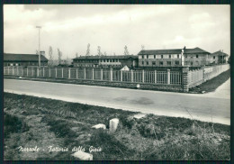 Cuneo Narzole Fattoria Della Gioia Foto FG Cartolina MZ1880 - Cuneo