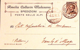 1928-PONTE NELLE ALPI Amelia Collarin Malesano Cartolina Con Testatina Viaggiata - Poststempel
