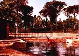 1975-CERVIA MILANO MARITTIMA Il Parco Naturale Viaggiata - Ravenna