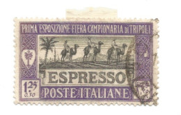 (COLONIE E POSSEDIMENTI) 1927, LIBIA, I FIERA DI TRIPOLI, ESPRESSO, 1,25L+30c - 1 Francobollo (CAT. SASSONE N.E14) - Libye