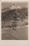 Romania - Muntii Gurghiu - Bicaz - Iarna - Original Photo Vakar L. - Roemenië