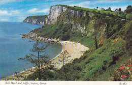 AK 214720 ENGLAND - Seaton - Beer Head And Cliffs - Other & Unclassified