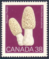 Canada Champignon Morchella Esculenta Mushroom MNH ** Neuf SC (C12-48b) - Mushrooms