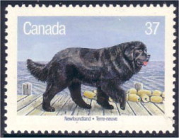 Canada Chien Terre-neuve Newfoundland Dog MNH ** Neuf SC (C12-20d) - Hunde