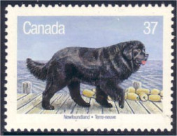 Canada Chien Terre-neuve Newfoundland Dog MNH ** Neuf SC (C12-20a) - Ongebruikt