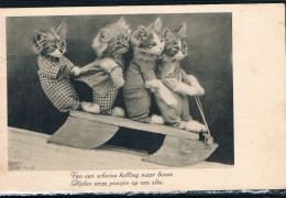Chats Humanisés - Dressed Cats -katzen Menschlich-  Poezen Op Slee - Gekleidete Tiere