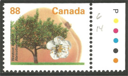 Canada Abricotier Westcott Apricot Block Couleurs MNH ** Neuf SC (C13-73ashpc) - Nuovi