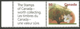 Canada Pomme Fameuse Snow Apple Collection Timbres MNH ** Neuf SC (C13-65ashlbl-coll) - Ungebraucht