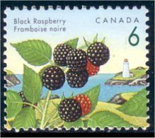 Canada Mure Framboise Noire Black Raspberry MNH ** Neuf SC (C13-53c) - Fruit