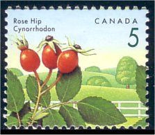 Canada Cynorrhodon Rose Hip MNH ** Neuf SC (C13-52b) - Andere & Zonder Classificatie