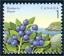 Canada Blueberry Bleuet Myrtille MNH ** Neuf SC (C13-49c) - Fruits