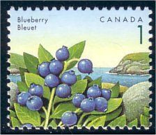 Canada Blueberry Bleuet Myrtille MNH ** Neuf SC (C13-49c) - Frutta