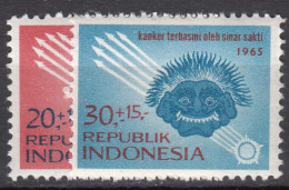 Indonesia 1965 Mi#488-489 Mint Never Hinged - Indonésie