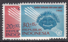Indonesia 1965 Mi#488-489 Mint Never Hinged - Indonésie