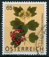 ÖSTERREICH 2007 Nr 2680 Gestempelt X2EA71E - Used Stamps