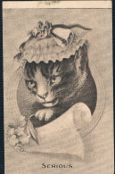 Chat Humanisé-dressed Cat -katzen - Poes Met Hoedje - Cats