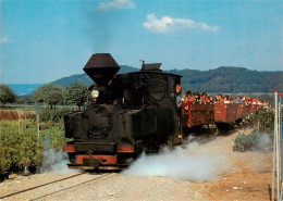 13901414 Schinznach Bad Schinznacher Baumschulbahn Dampflokomotive Taxus Schinzn - Autres & Non Classés