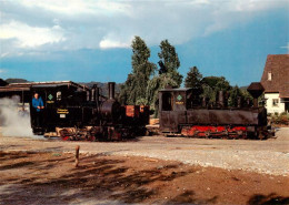 13901412 Schinznach Bad Schinznacher Baumschulbahn Dampflokomotiven Pinus Und Ta - Autres & Non Classés
