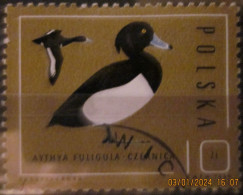 POLAND ~ 1985 ~ S.G. NUMBERS S.G. 3013. ~ WILD DUCKS ~ VFU #03530 - Used Stamps