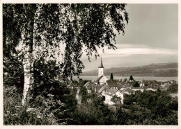 13896908 Steckborn Untersee TG Panorama Kirche  - Autres & Non Classés